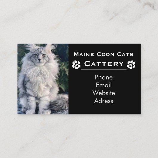 Maine Coon Cattery & Professional Breeder Black 名刺 (正面)