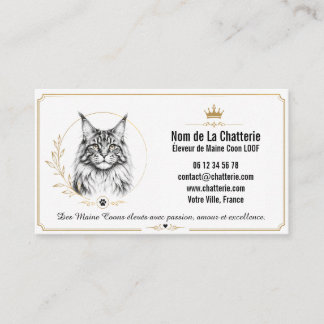 Maine Coon Chatterie LOOF Personnalisée Moderne 名刺