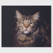 maine coon on a black background younganimal,cat,c ラッピングペーパー (フラット)