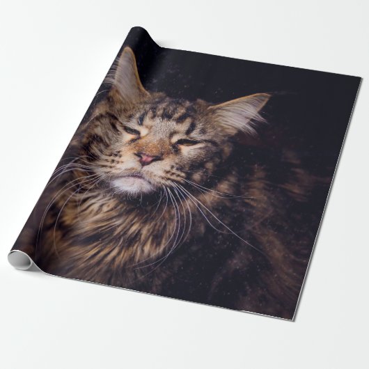 maine coon on a black background younganimal,cat,c ラッピングペーパー (アンロールド)