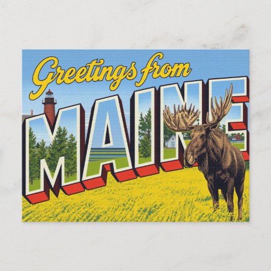 Maine Moose and Lighthouse ポストカード (正面)