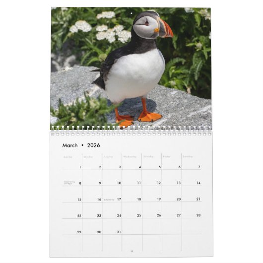 Maine’s Atlantic Puffins: Coasting Into 2026  カレンダー (3月 2026)