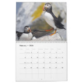 Maine’s Atlantic Puffins: Coasting Into 2026  カレンダー (2月 2026)