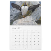 Maine’s Atlantic Puffins: Coasting Into 2026  カレンダー (1月 2027)
