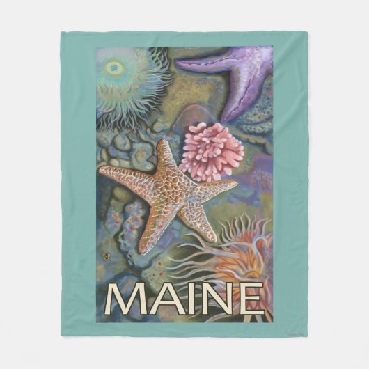 MaineTidepool場面 フリースブランケット (正面)