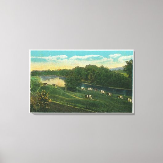 MaineViewの牛の帰郷バインド キャンバスプリント (正面)