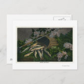 MaineView of a Nice Catch of Maine Lake Trout ポストカード (正面/裏面)