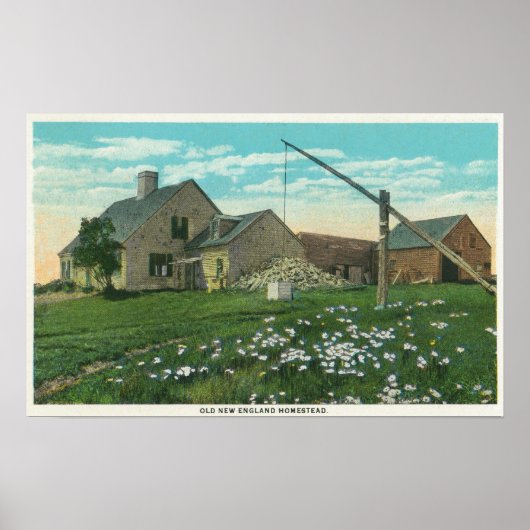 MaineView of an Old New Englandホームステッド ポスター (正面)