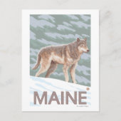 MaineWolfシーン ポストカード (正面)
