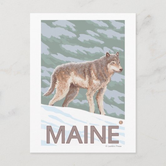 MaineWolfシーン ポストカード (正面)
