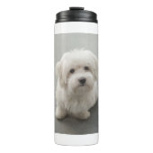 Maisie Coton de Tulear Puppy タンブラー (正面)