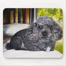 Maitaiプードル、マウスパッド