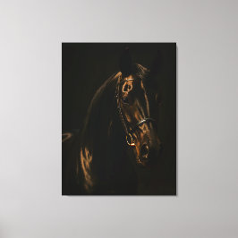 Majestätischer Fuchsbrauner Hengst im Dunkeln キャンバスプリント