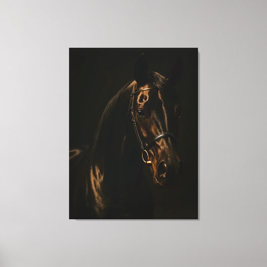 Majestätischer Fuchsbrauner Hengst im Dunkeln キャンバスプリント (正面)