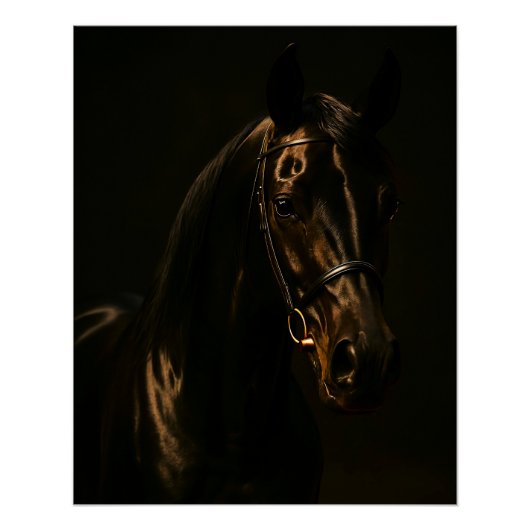 Majestätischer Fuchsbrauner Hengst im Dunkeln ポスター (正面)