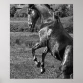 Majestic ポスター (正面)