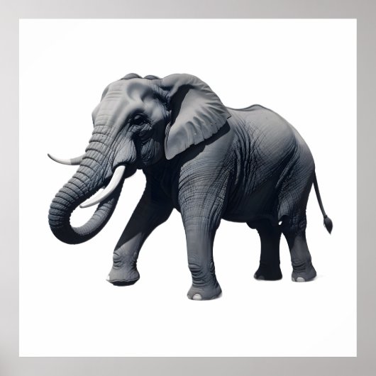 Majestic African Elephant Walking with Large Tusks ポスター (正面)