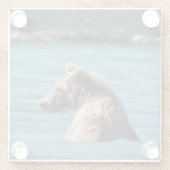 Majestic Alaskan Brown Bear ガラスコースター (裏面)