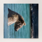 Majestic Alaskan Brown Bear ジグソーパズル (横)