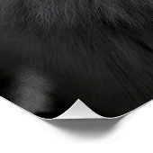 Majestic Arctic Wolf Portrait in High Contrast Bla ポスター (コーナー)