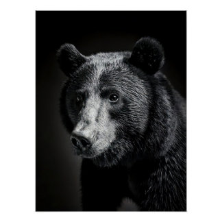 Majestic Bear Portrait - Black and White Wildlife ポスター
