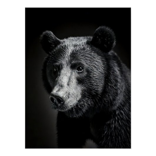 Majestic Bear Portrait - Black and White Wildlife ポスター (正面)