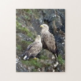 Majestic Bird of Prey White Tailed Eagle Pair ジグソーパズル