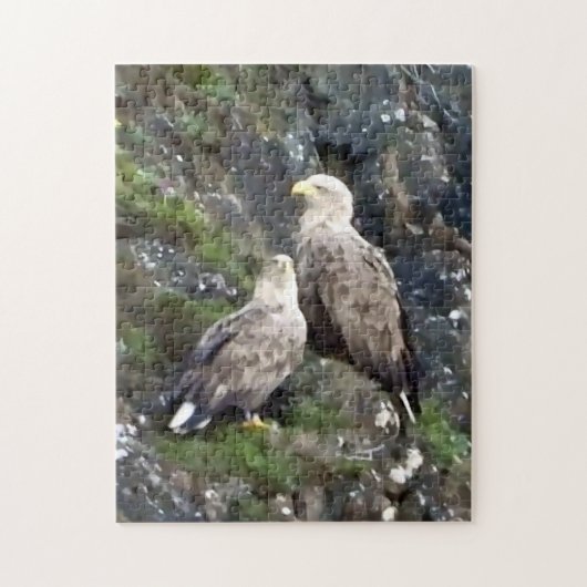  Majestic Bird of Prey White Tailed Eagle Pair  ジグソーパズル (縦)