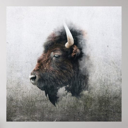 Majestic Bison Portrait ポスター (正面)