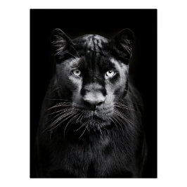 Majestic Black Panther Portrait ポスター