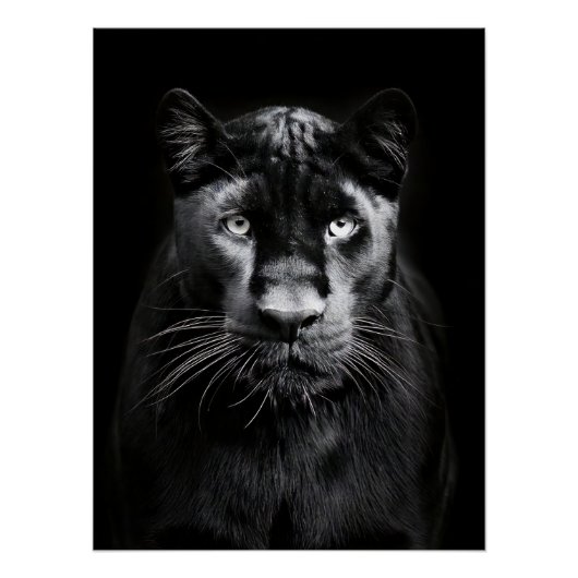 Majestic Black Panther Portrait ポスター (正面)