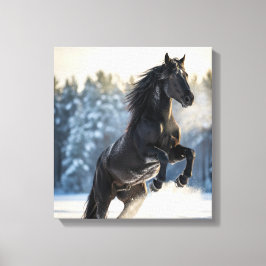Majestic Black Stallion in Winter Snow  キャンバスプリント