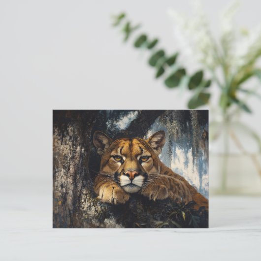 Majestic Cougar in Forest ポストカード (スタンド正面)