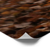 Majestic Deer  ポスター (角)