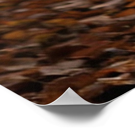 Majestic Deer  ポスター