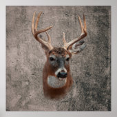 Majestic Deer Against Rustic Background ポスター (正面)