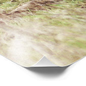 Majestic Fallow Buck フォトプリント (角)