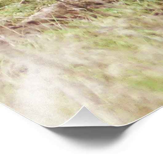 Majestic Fallow Buck フォトプリント (角)