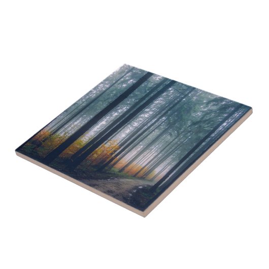 Majestic Forest Tree Lined Path タイル (側面)