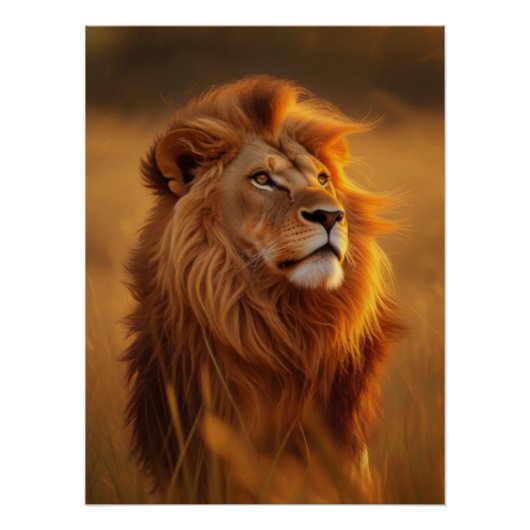 Majestic Golden Lion Sunset Glossy Poster ポスター (正面)