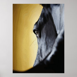 Majestic Horse Eye Close-Up Art ポスター