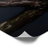 Majestic Leopard and Full Moon   ポスター (角)