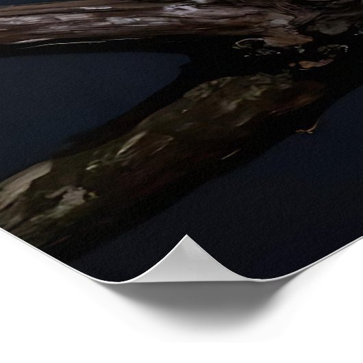 Majestic Leopard and Full Moon   ポスター (角)