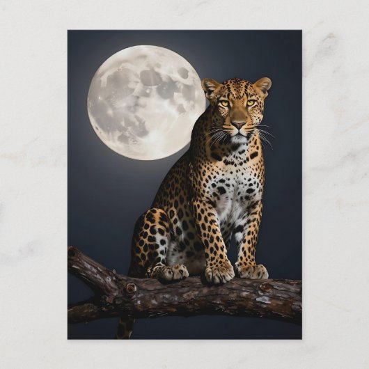 Majestic Leopard and Full Moon  ポストカード (正面)