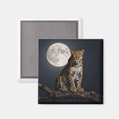 Majestic Leopard and Full Moon   マグネット (正面/裏面)