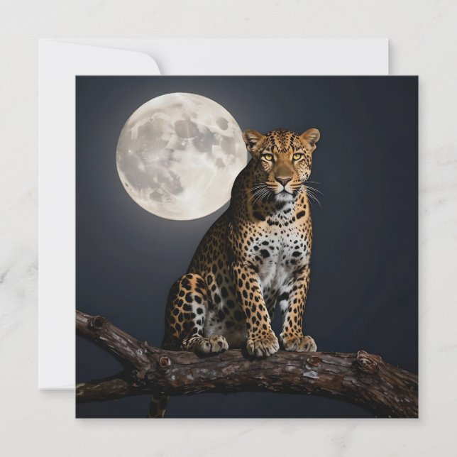 Majestic Leopard and Full Moon Blank (正面)