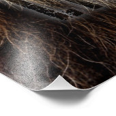 Majestic Lion Face with Blue Eyes | Wildlife Anima フォトプリント (角)