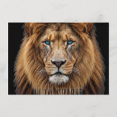 Majestic Lion Face with Blue Eyes | Wildlife Anima メニュー (裏面)