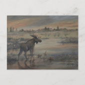 Majestic Moose ポストカード (正面)