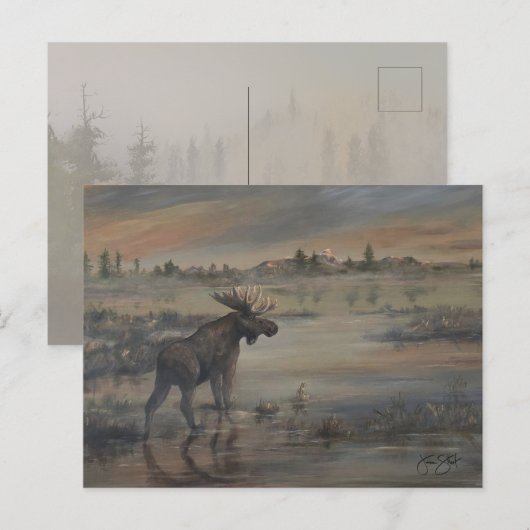Majestic Moose ポストカード (正面/裏面)